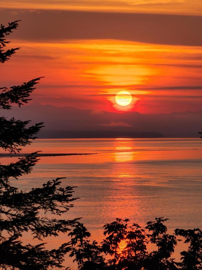 Ocean'S Edge Suite Campbell River Dış mekan fotoğraf